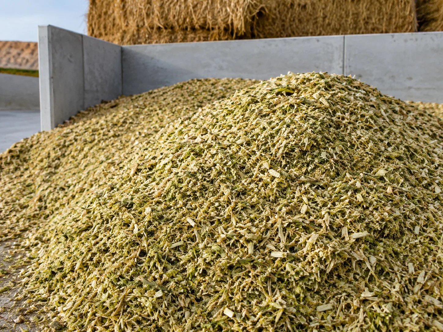 Silage and feed preparation
