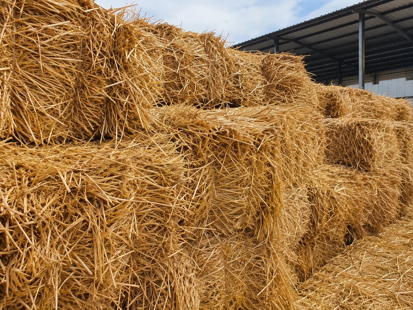 Wheat straw